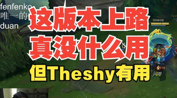 水晶哥：这版本上路真没什么用，但Theshy有用