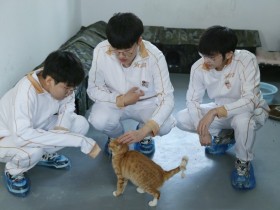 【蜗牛电竞】AL分享队员公益活动返图:上野辅三兄弟铲屎记!