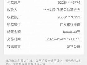 【蜗牛电竞】虎之爱心!Xiaohu:向上海猫岛捐赠一万元 用于救助当地流浪猫