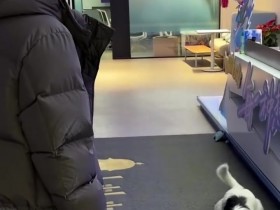 【蜗牛电竞】BLG官媒晒队员日常:掉落一个沉浸式看咕噜噜玩球的per