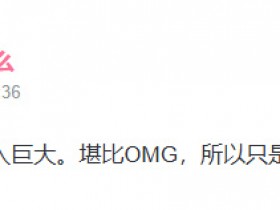 【蜗牛电竞】UP主一酱爆料:RNG明年复活 但听说投入巨大 只是回来个牌子