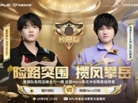 【蜗牛电竞】🎮狼队全力一搏终取胜拿下关键一分 狼队 3-2 Hero