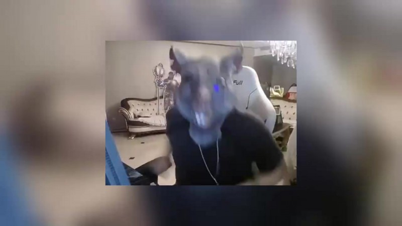 【蜗牛电竞】姿态看IG战胜JDG赛后语音TheShy疯狂交流:今天TS话这么多吗!