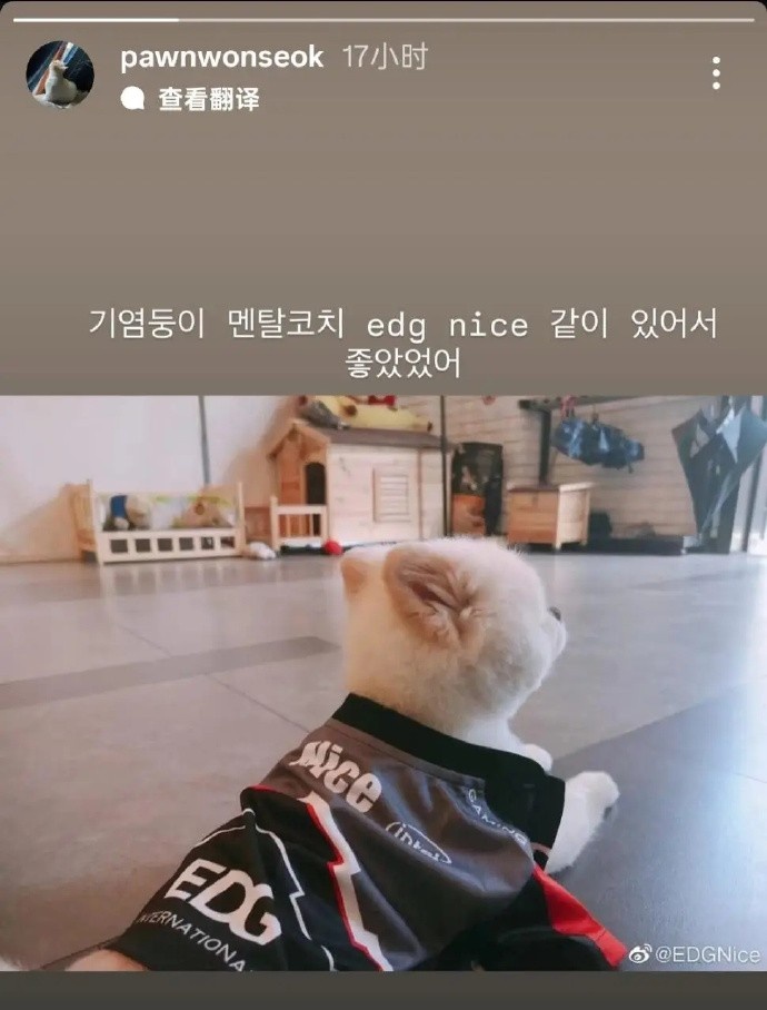 Deft和PawN发文送别Nice：下次再见吧；小宝贝心理教练Nice