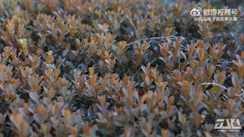 【蜗牛电竞】BLG官方发布对阵JDG赛前视频：沉心深耕，稳中求进