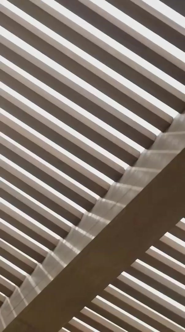 【蜗牛电竞】T1分享队员沙特旅游短片：当世界冠军来到红海