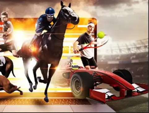 【蜗牛电竞】大发娱乐《百练赛》：巅峰竞技，燃爆全场的英雄对决！