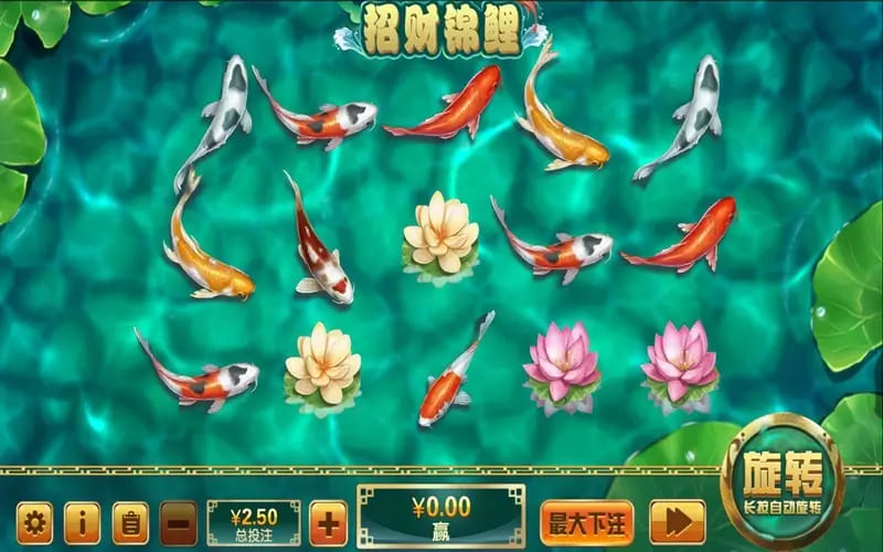 【蜗牛电竞】大发娱乐全新力作 —— 招财锦鲤，带你畅游好运与财富