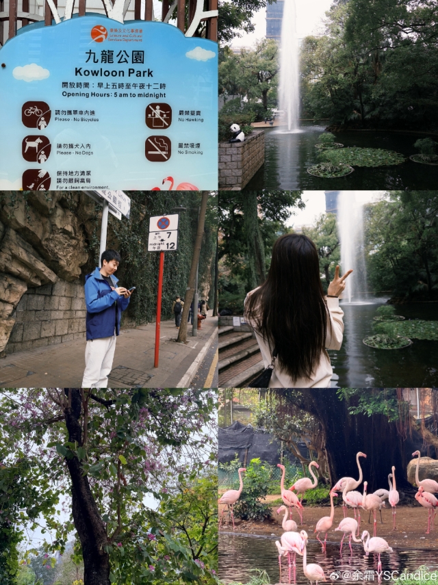 【蜗牛电竞】余霜晒与管泽元线下观赛LCK决赛合照:徒步👣