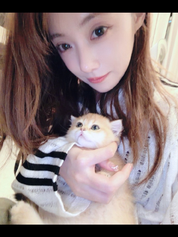【蜗牛电竞】主持人小钰分享日常照片：如何呢 一位小猫中毒患者罢了